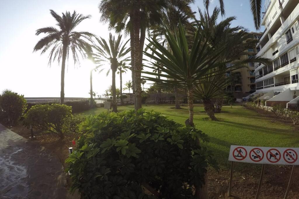 Studio Apartment La Lajilla Located At Beachfront Arguineguin المظهر الخارجي الصورة